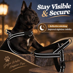No-Pull Dog Harness – Front-Clip Training Harness for Strong Pullers
