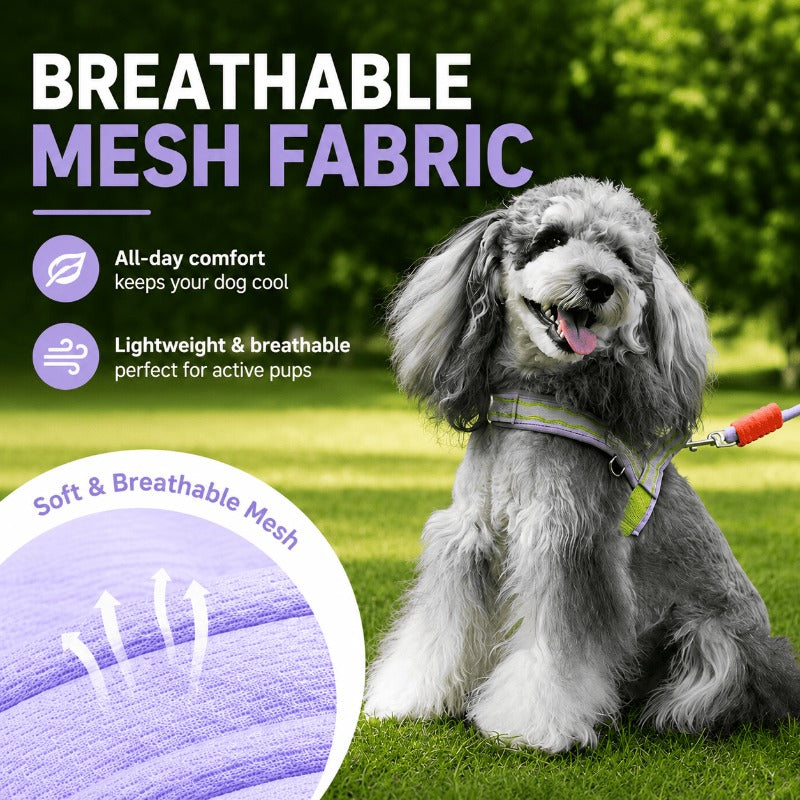 Foam Handle Dog Control Harness – Adjustable, Breathable & Training-Ready