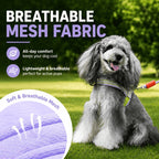 Foam Handle Dog Control Harness – Adjustable, Breathable & Training-Ready