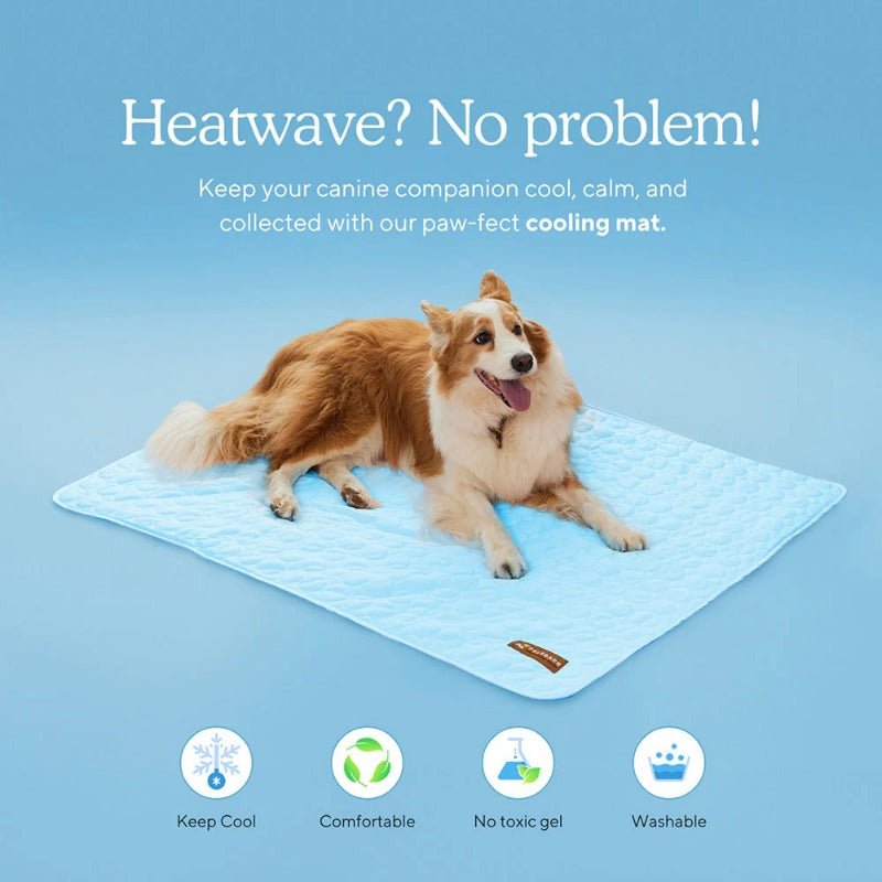 Portable Pet Cooling Mat – No Gel, No Freezing, Instant Relief in Seconds