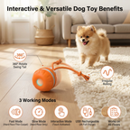 Durable Dog Play Ball with Motion Sensor & Tug Rope – Vet-Approved Colors