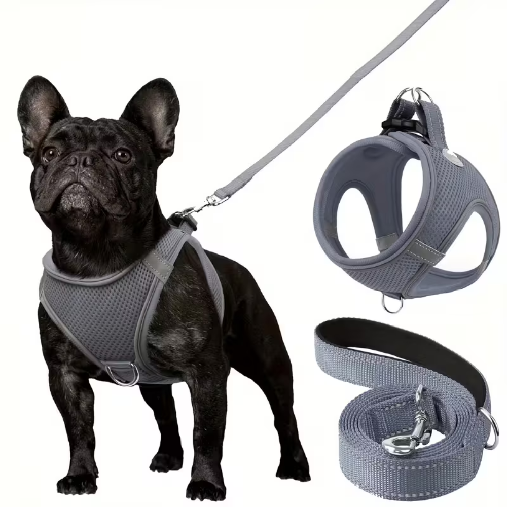 Adjustable Dog Harness & Leash Set – Reflective, Step-In Design for Easy Control