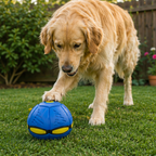 Interactive Flying Fetch Dog Ball – Fun, Fast & Engaging Toy for Energetic Dogs