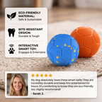 Eco-Friendly Bite-Resistant Smart Auto-Motion Dog Ball