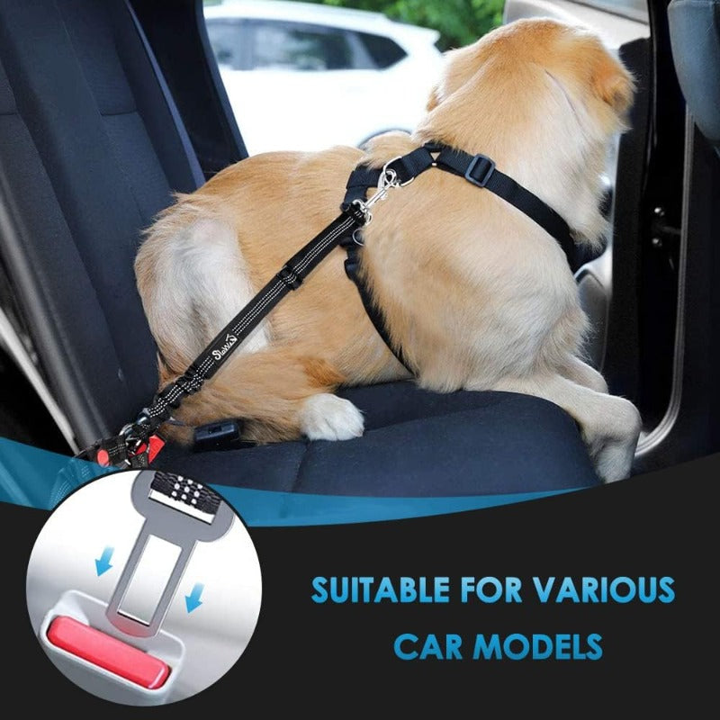 Shock-Absorbing Dog Car Seatbelt – Dual-Anchor Safety Restraint for Dogs