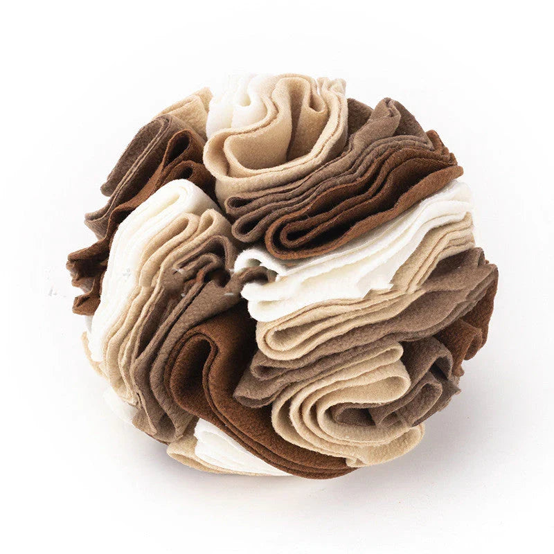 Interactive Sniffing Ball for Dogs – SniffJoy