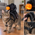 BooRider™ - Headless Horseman Halloween Pet Costume