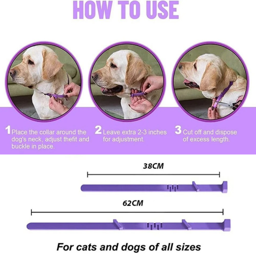 Pheromone Calming Collar for Dogs & Cats – Natural Stress Relief