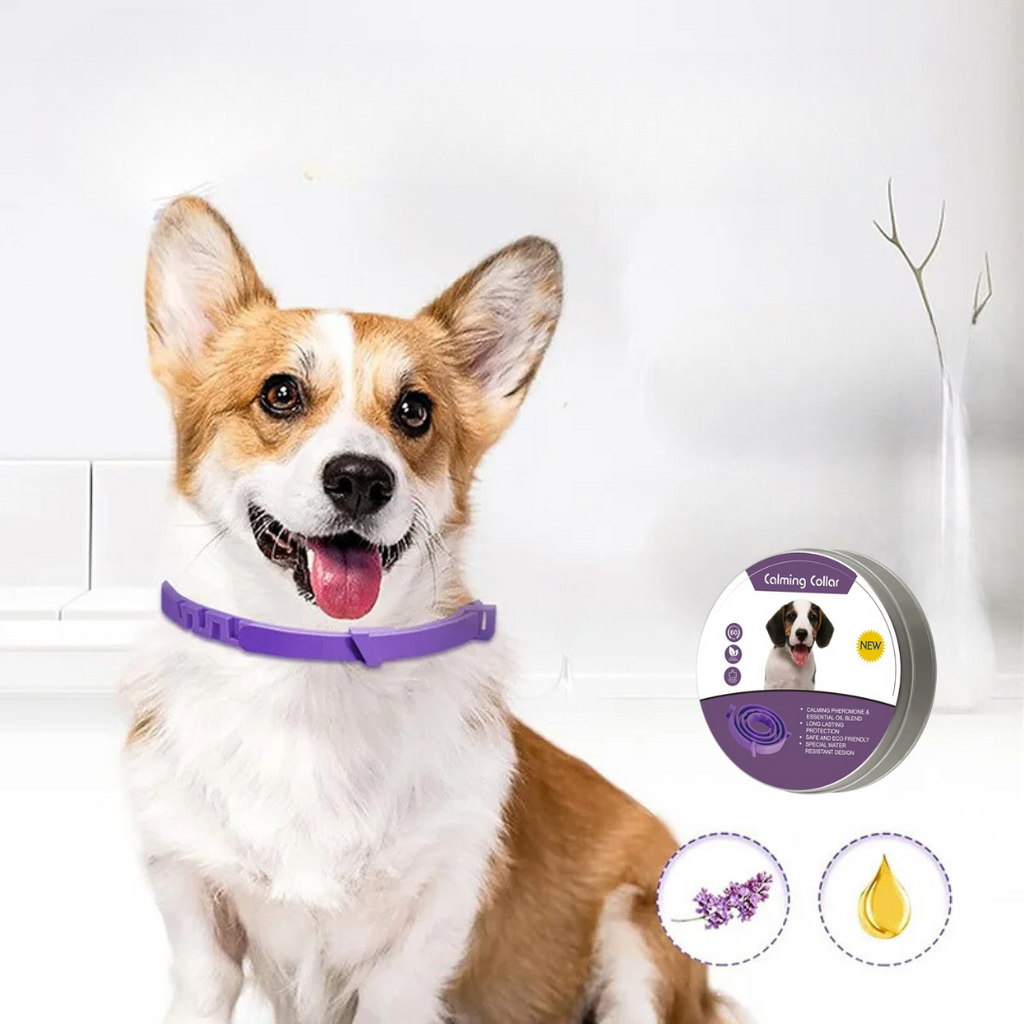 Pheromone Calming Collar for Dogs & Cats – Natural Stress Relief