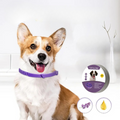 Pheromone Calming Collar for Dogs & Cats – Natural Stress Relief