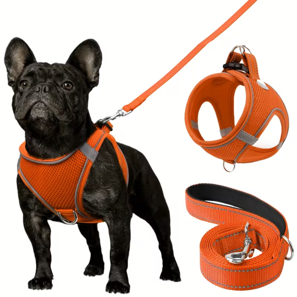 Adjustable Dog Harness & Leash Set – Reflective, Step-In Design for Easy Control