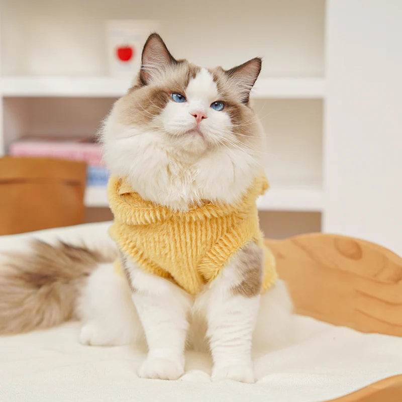Cartoon Fleece Pet Hoodie – Soft, Snuggly & Super Cute!