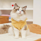 Cartoon Fleece Pet Hoodie – Soft, Snuggly & Super Cute!