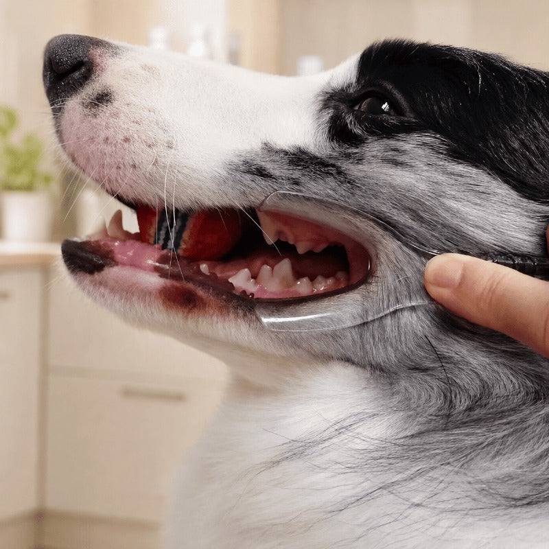 Pet Teeth Brushing Helper – Gentle Cheek Retractor for Dogs & Cats