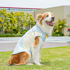 Ice Silk Cooling Pet Vest for Dogs & Cats – Breathable Summer Dog Vest with Quick-Chill Fabric