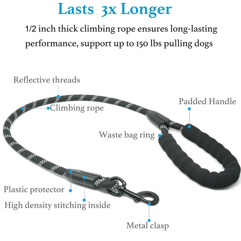 Heavy-Duty Dog Leash with Shock-Absorbing Bungee – Tangle-Free & 360° Swivel Clasp