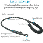 Heavy-Duty Dog Leash with Shock-Absorbing Bungee – Tangle-Free & 360° Swivel Clasp