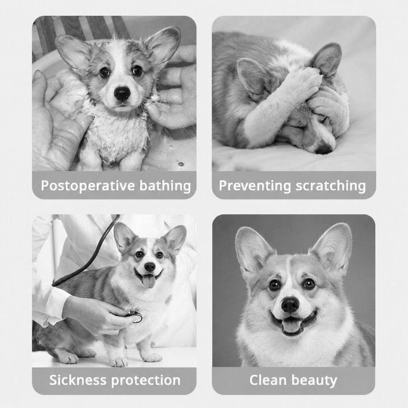Soft Recovery Collar for Cats & Dogs – Anti-Lick Pet Cone (Comfortable, Washable, Cute Designs)