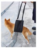 Dog Support Harness – Adjustable Rehabilitation Belt for Senior, Post-Surgery & Mobility Support