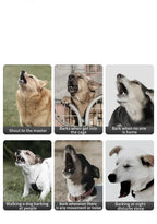 Ultrasonic Anti-Bark Training Device for Dogs — Humane, Effective & Portable