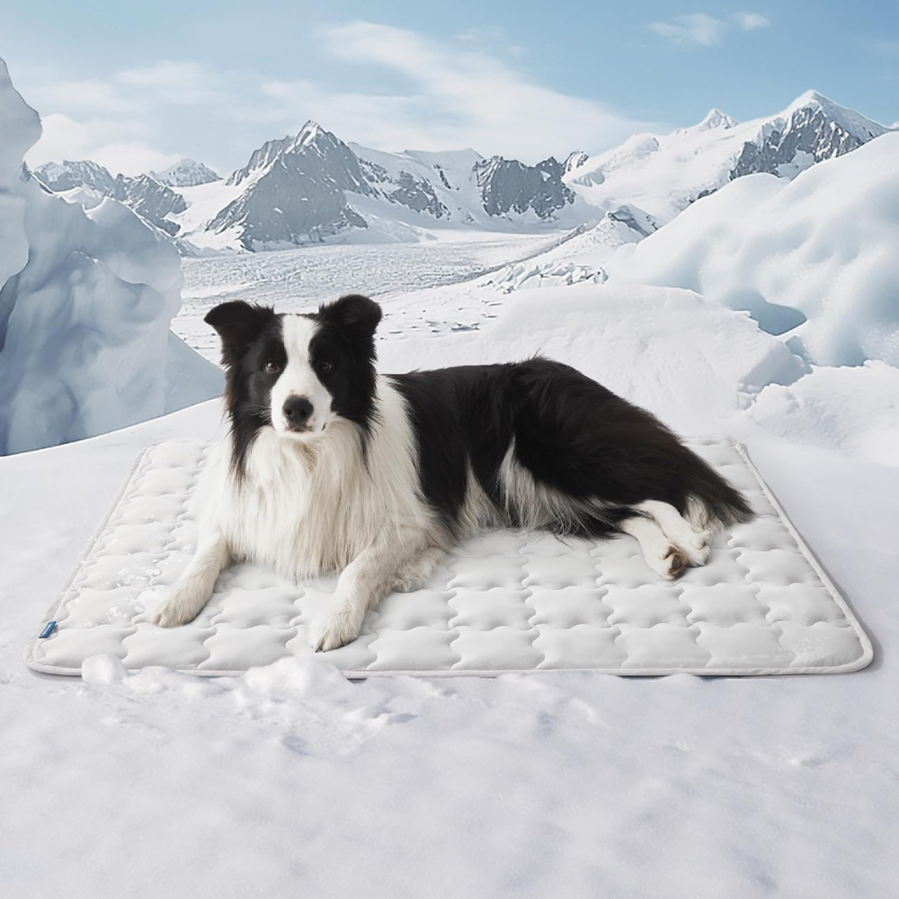 Lightweight Cooling Dog Mat – Instant Chill Floor Pad for Hot Days