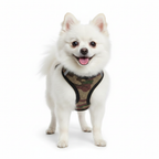 Step-In Air Mesh Dog Harness – Lightweight, Breathable & Reflective Pet Walking Harness