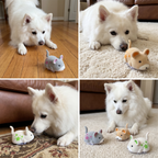 Active Hamster Indoor Dog Toy – Interactive Rolling Toy for Mental Stimulation & Indoor Exercise