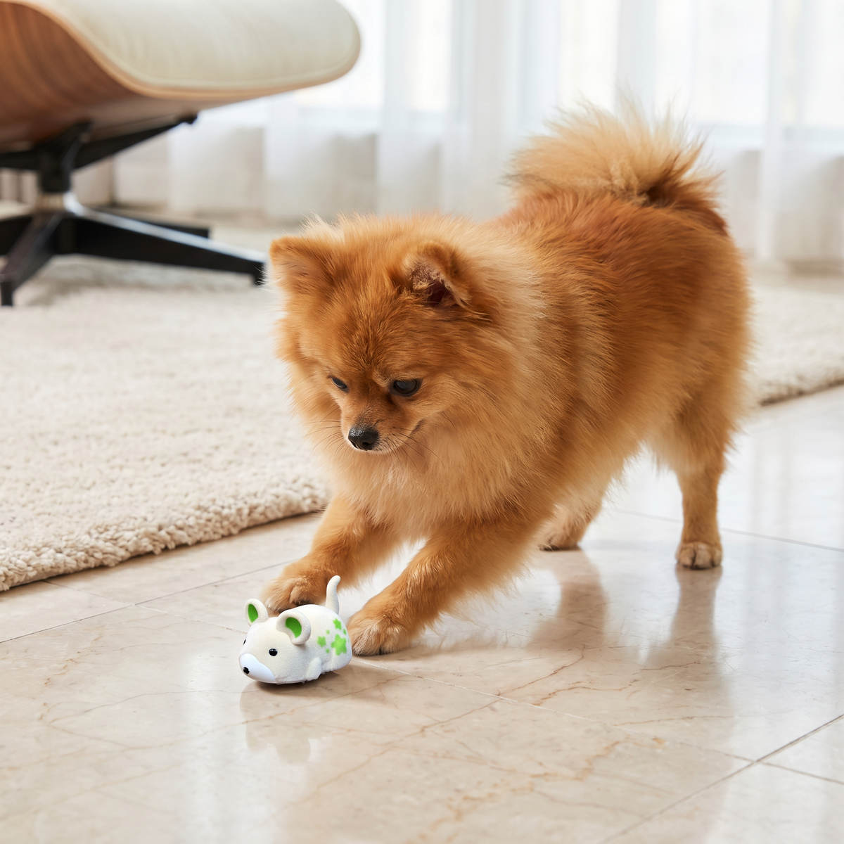 Active Hamster Indoor Dog Toy – Interactive Rolling Toy for Mental Stimulation & Indoor Exercise
