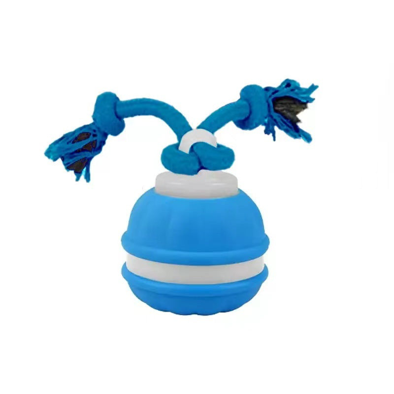 Durable Dog Play Ball with Motion Sensor & Tug Rope – Vet-Approved Colors