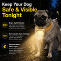 Weatherproof Dog Collar Warning Light – Bright LED Safety Light for Night Walks