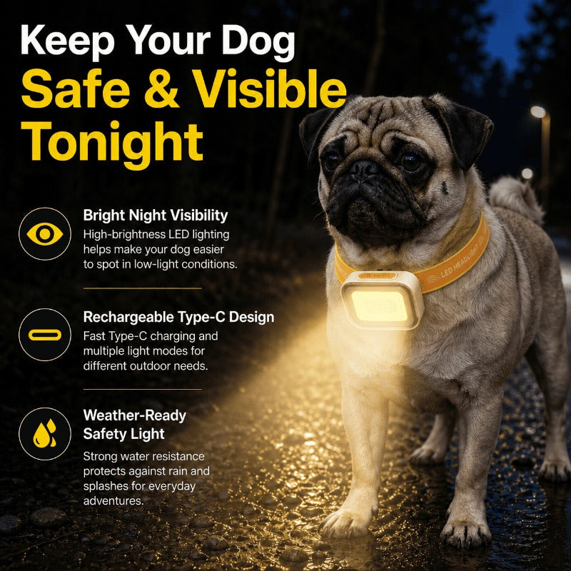 Weatherproof Dog Collar Warning Light – Bright LED Safety Light for Night Walks