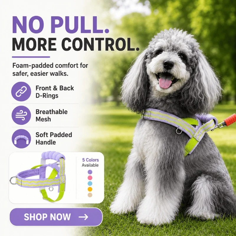 Foam Handle Dog Control Harness – Adjustable, Breathable & Training-Ready