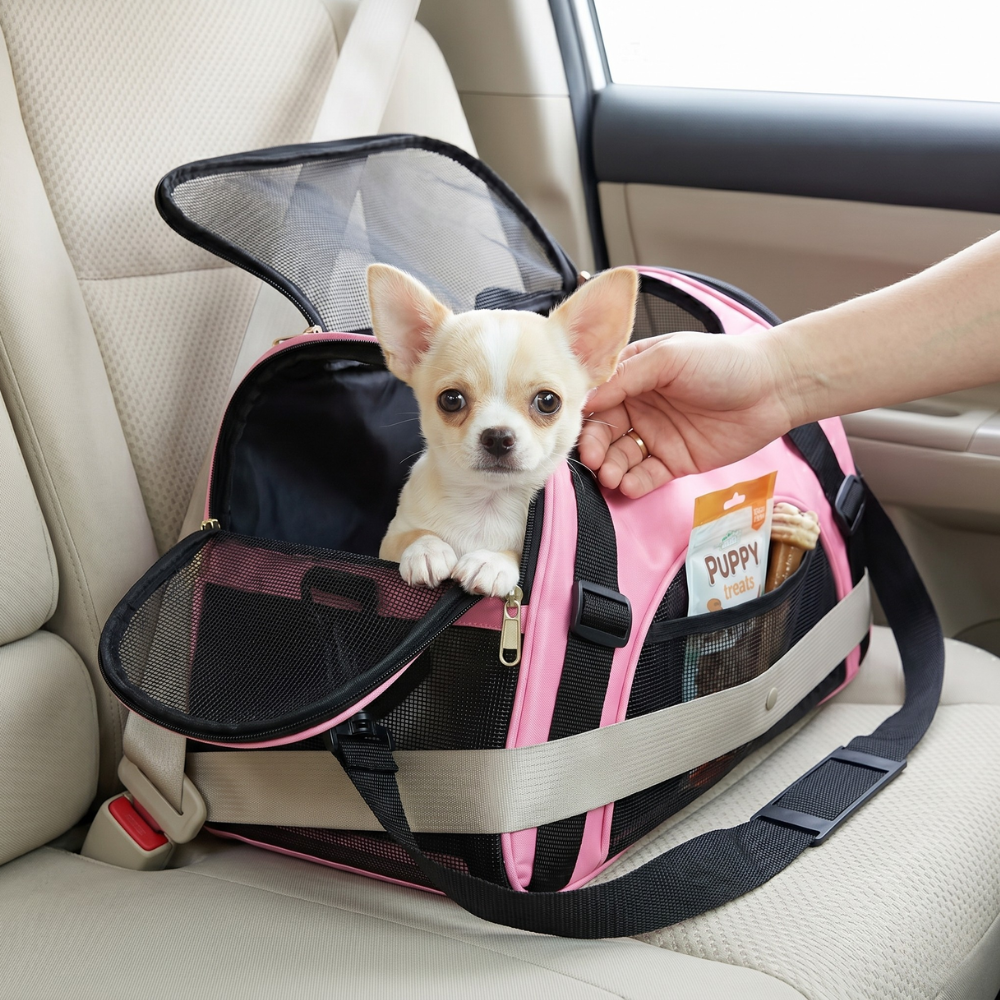 Foldable Airline-Approved Soft-Sided Pet Carrier Bag for Cats & Small Dogs
