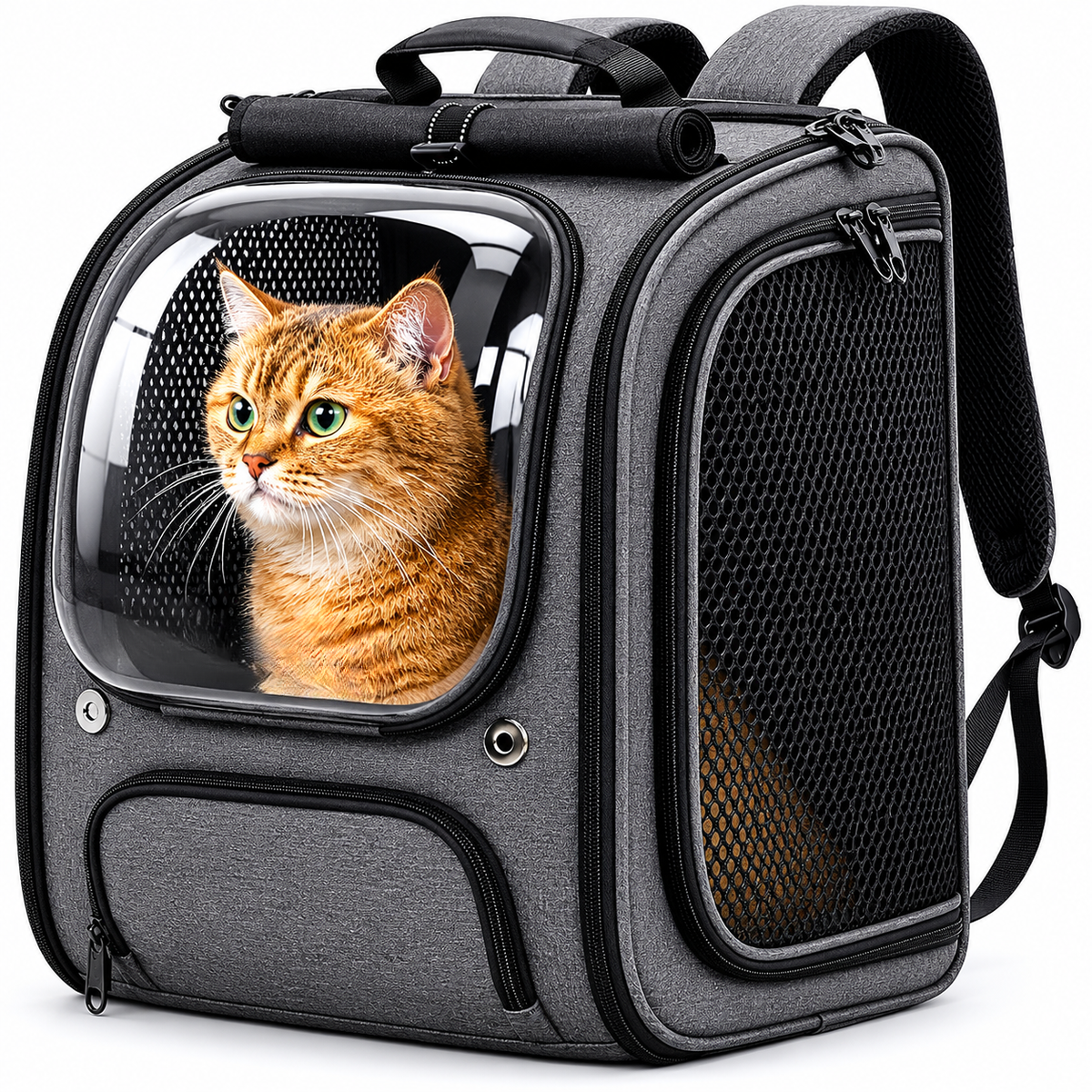 3D Ergonomic Pet Backpack Carrier – Comfortable, Ventilated & Secure for Cats & Small Dogs