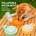 Compact Folding Pet Hydrator