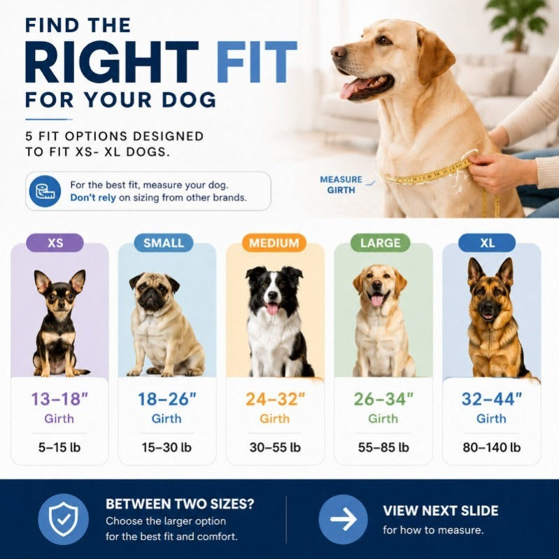 Side-Ring Gentle Guidance Dog Harness – No-Pull, Comfort-Fit, Reflective Safety
