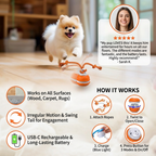 Durable Dog Play Ball with Motion Sensor & Tug Rope – Vet-Approved Colors