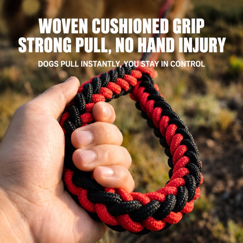 Heavy-Duty 8-Strand Braided Dog Leash with Built-In P-Chain