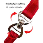 2-in-1 Slip-Lead Dog Leash – Training Collar + Walking Leash with Anti-Tangle Swivel