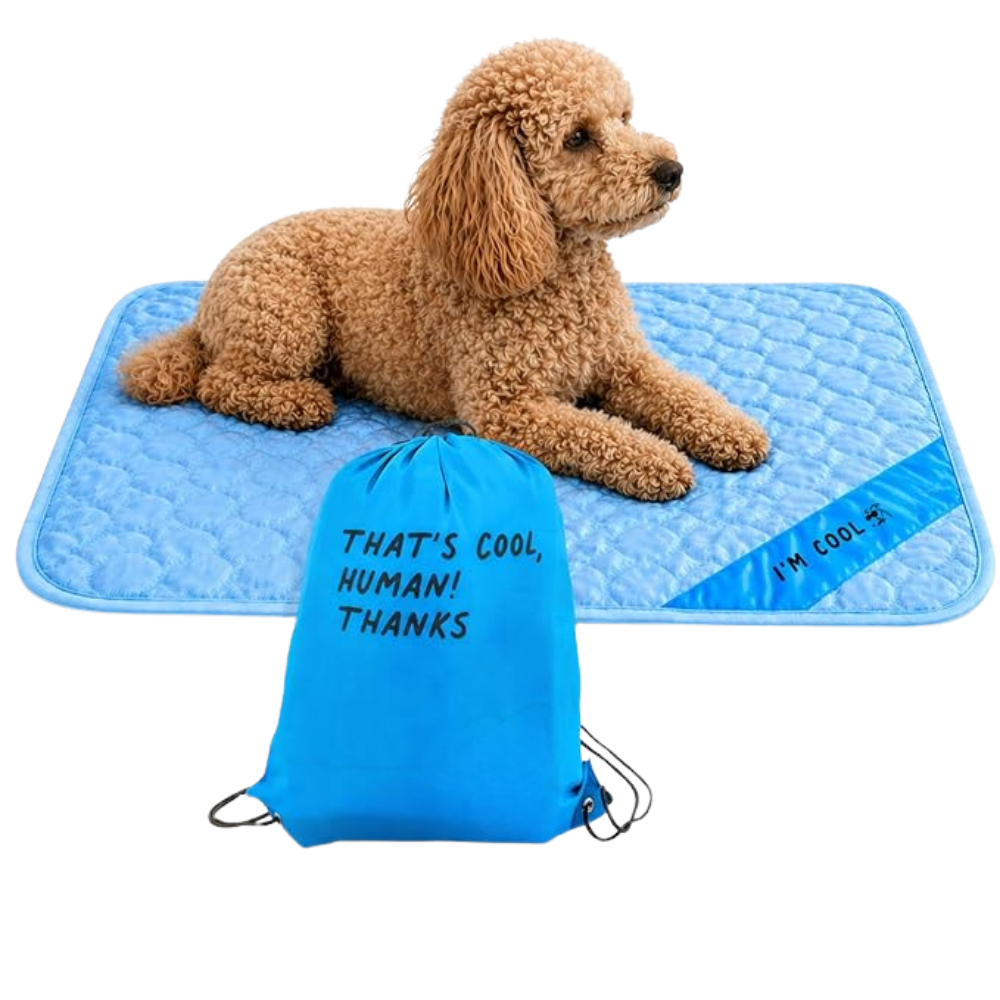 Portable & Washable Pet Cooling Mat – Instant Cool Surface for Crates, Cars & Travel