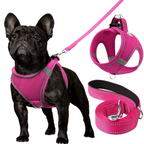 Adjustable Dog Harness & Leash Set – Reflective, Step-In Design for Easy Control