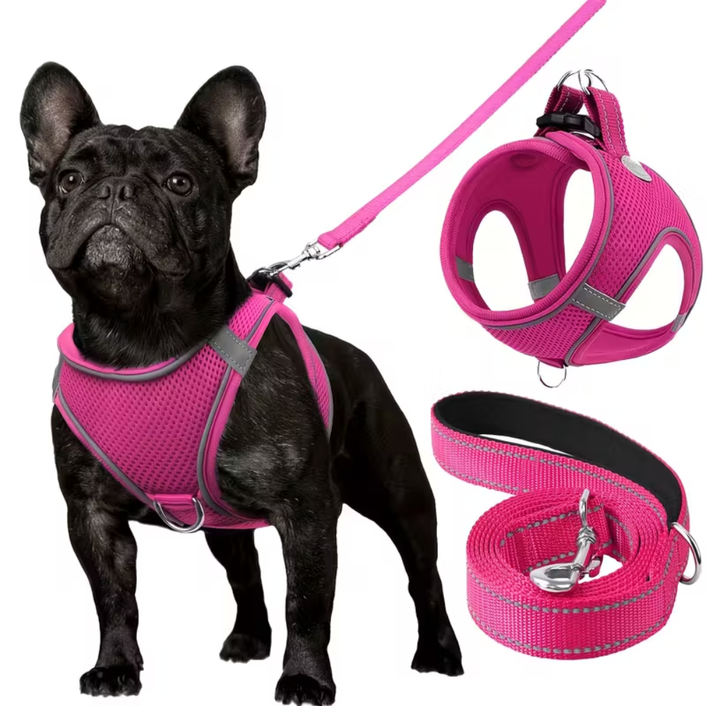 Adjustable Dog Harness & Leash Set – Reflective, Step-In Design for Easy Control