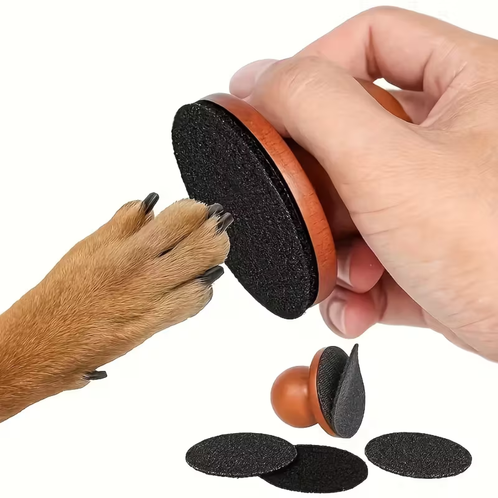 Dog Nail Filing Toy with Built-In Scratch Pad – Natural Nail Maintenance for Puppies & Adult Dogs