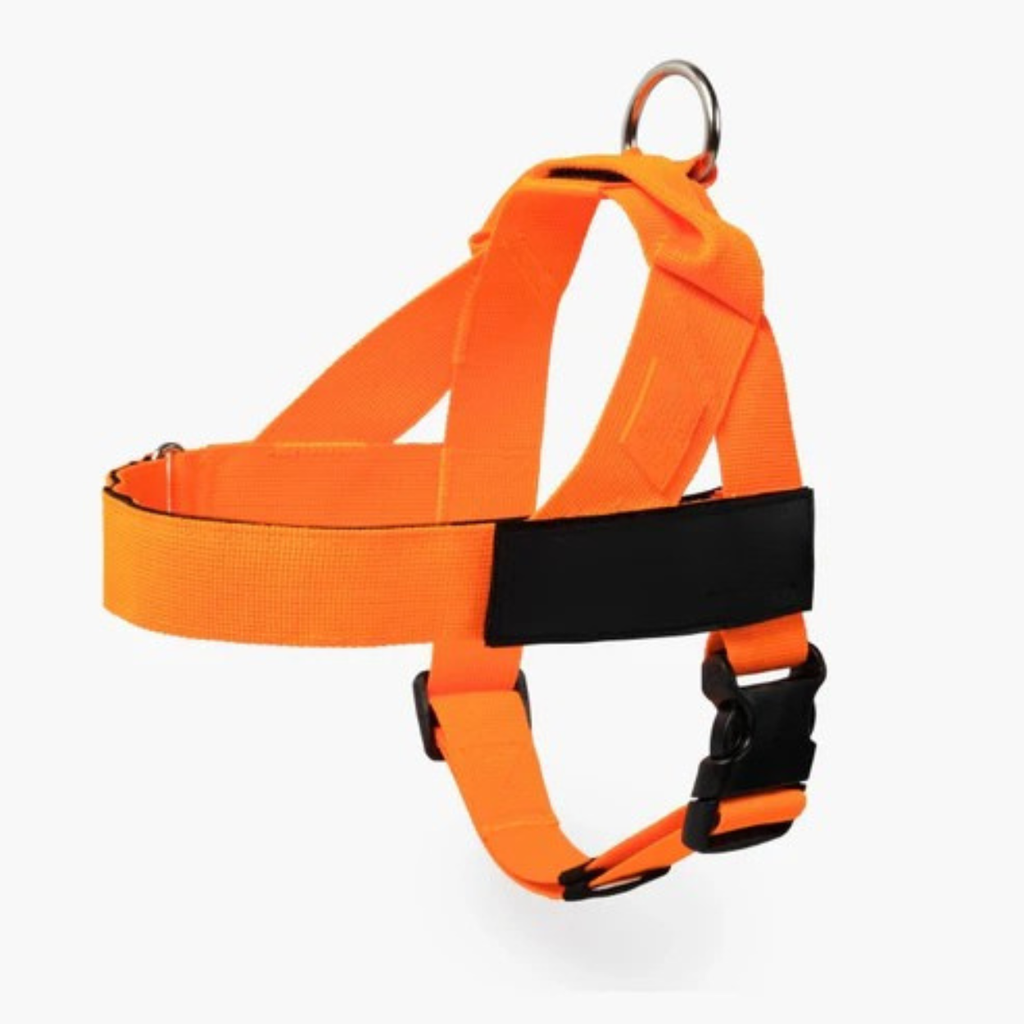 Adjustable Neck & Chafe-Resistant Dog Harness for Small Dogs – No-Pull, Soft Mesh, Easy-Click Buckle