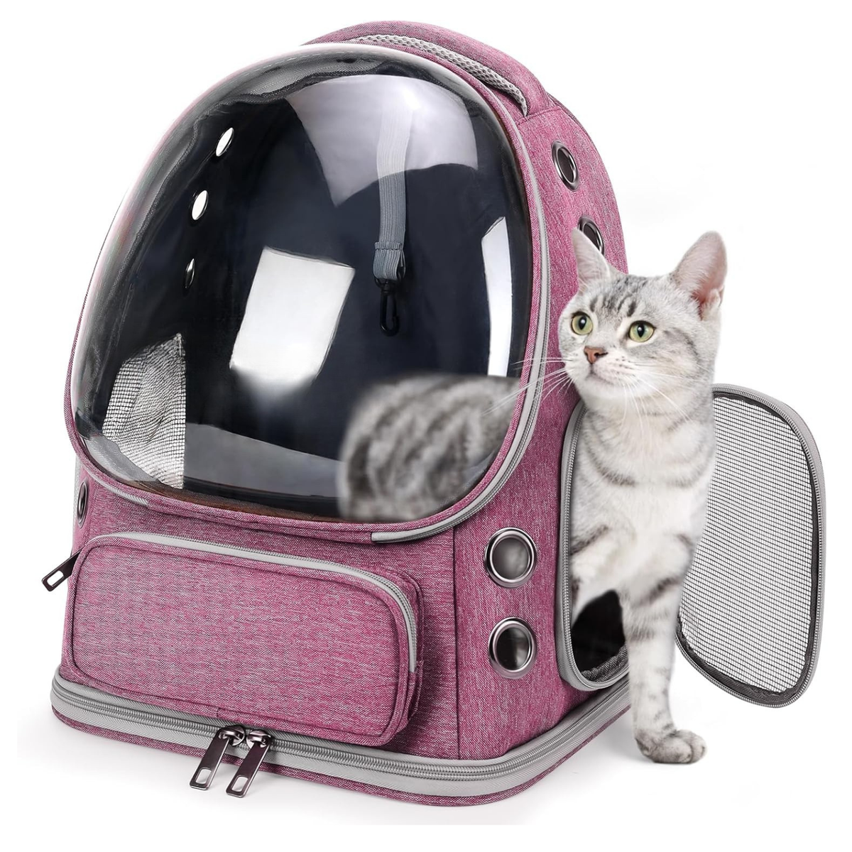 Expandable Bubble Travel Carrier Backpack for Cats & Small Dogs
