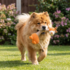 Durable Cotton Rope & Plush Dog Toy with Squeaker — Teeth Cleaning Chew Toy