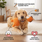 Durable Cotton Rope & Plush Dog Toy with Squeaker — Teeth Cleaning Chew Toy