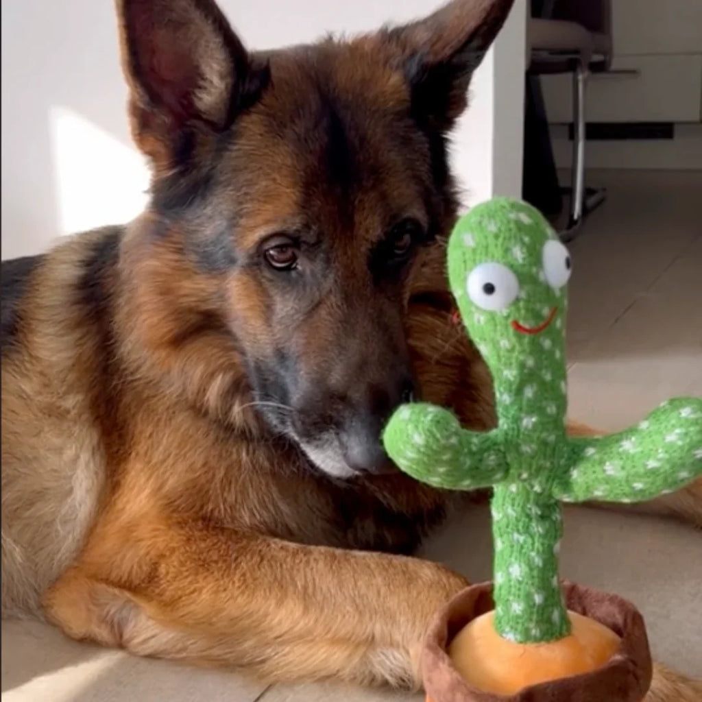 Talk-to-Me Cactus – Interactive Dog Toy That Dances, Sings & Mimics Sounds!