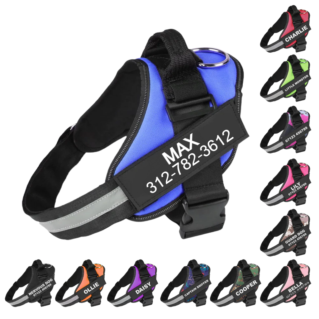 Custom No-Pull Dog Harness with Name & Phone Number — Heavy-Duty Personalized Pet Vest