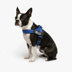 Adjustable Neck & Chafe-Resistant Dog Harness for Small Dogs – No-Pull, Soft Mesh, Easy-Click Buckle